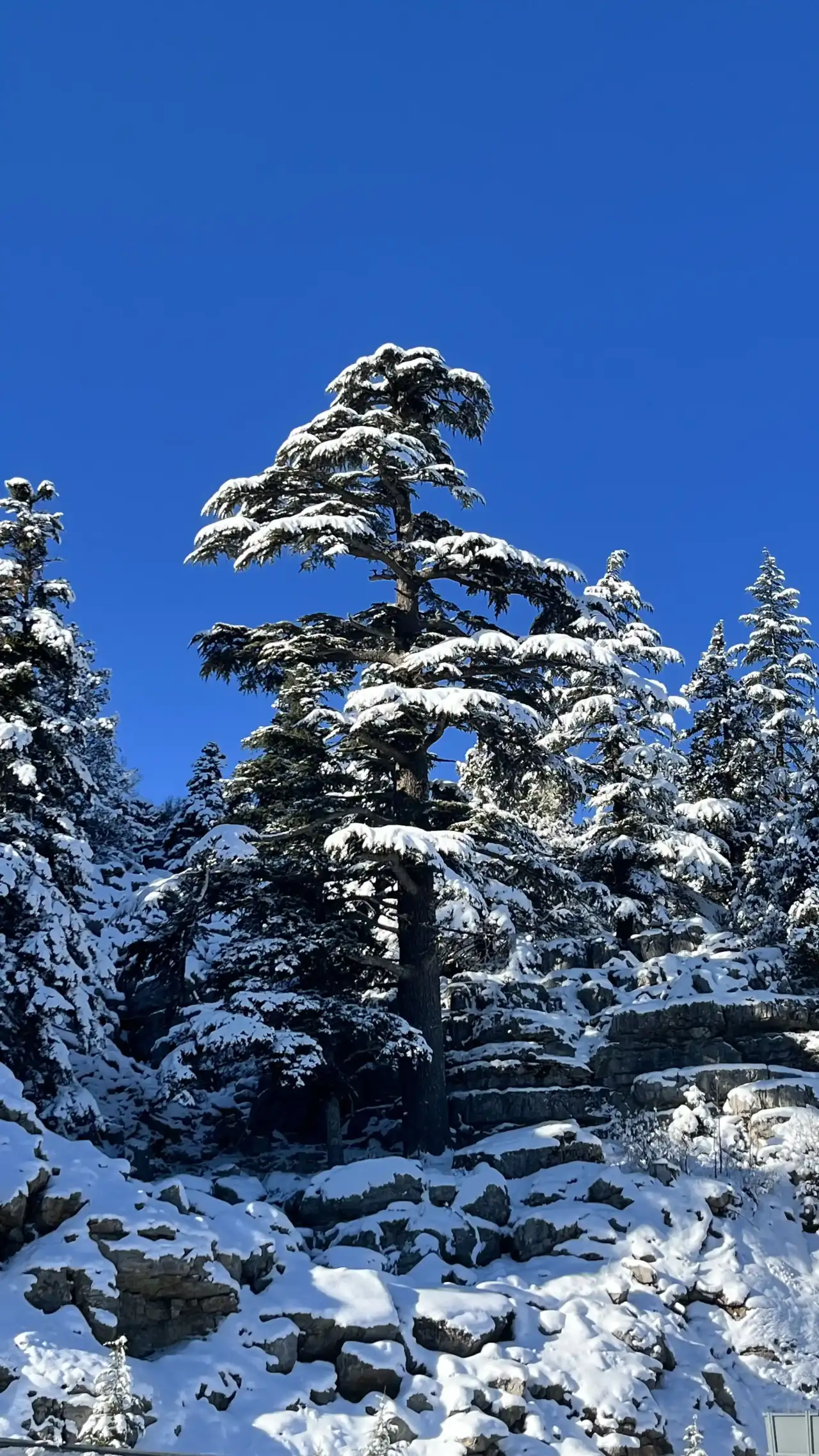 Antalya’da Kar Sonrası Kartpostallık Manzara 6
